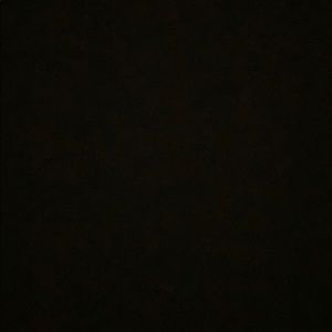 Meet your Posher, Arysa